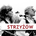 Strzyżów